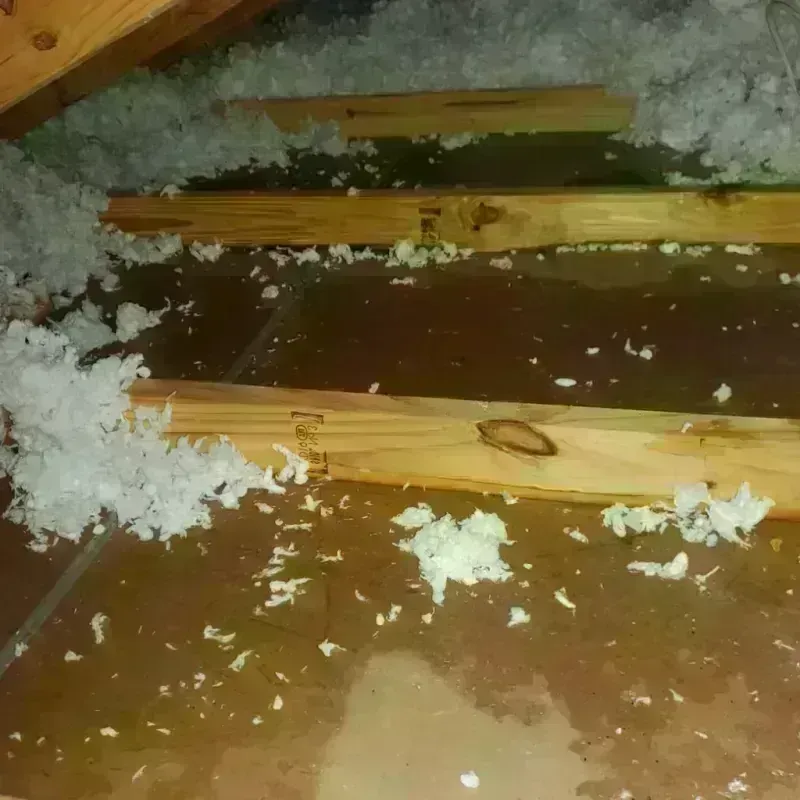 Attic Water Damage in Clinton County, MO