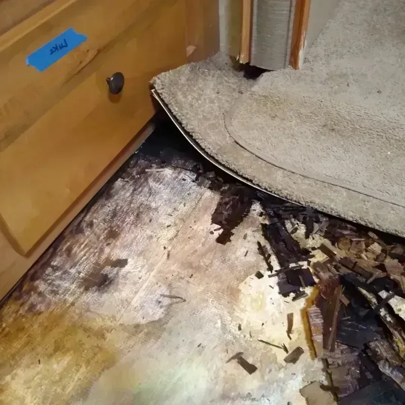 Wood Floor Water Damage in Clinton County, MO